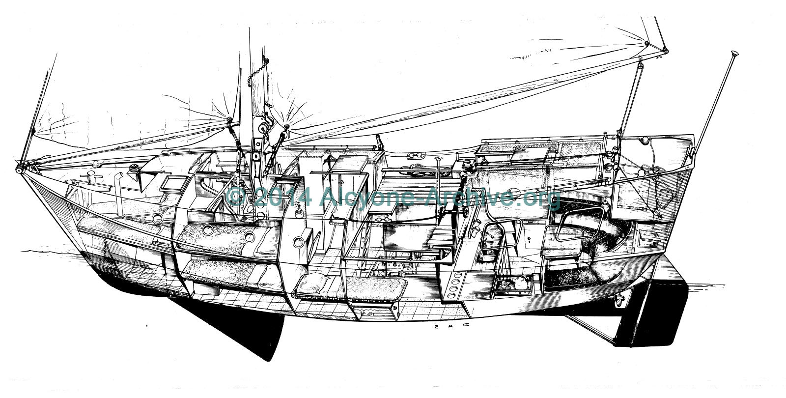 Alcyone II - DAS perspective